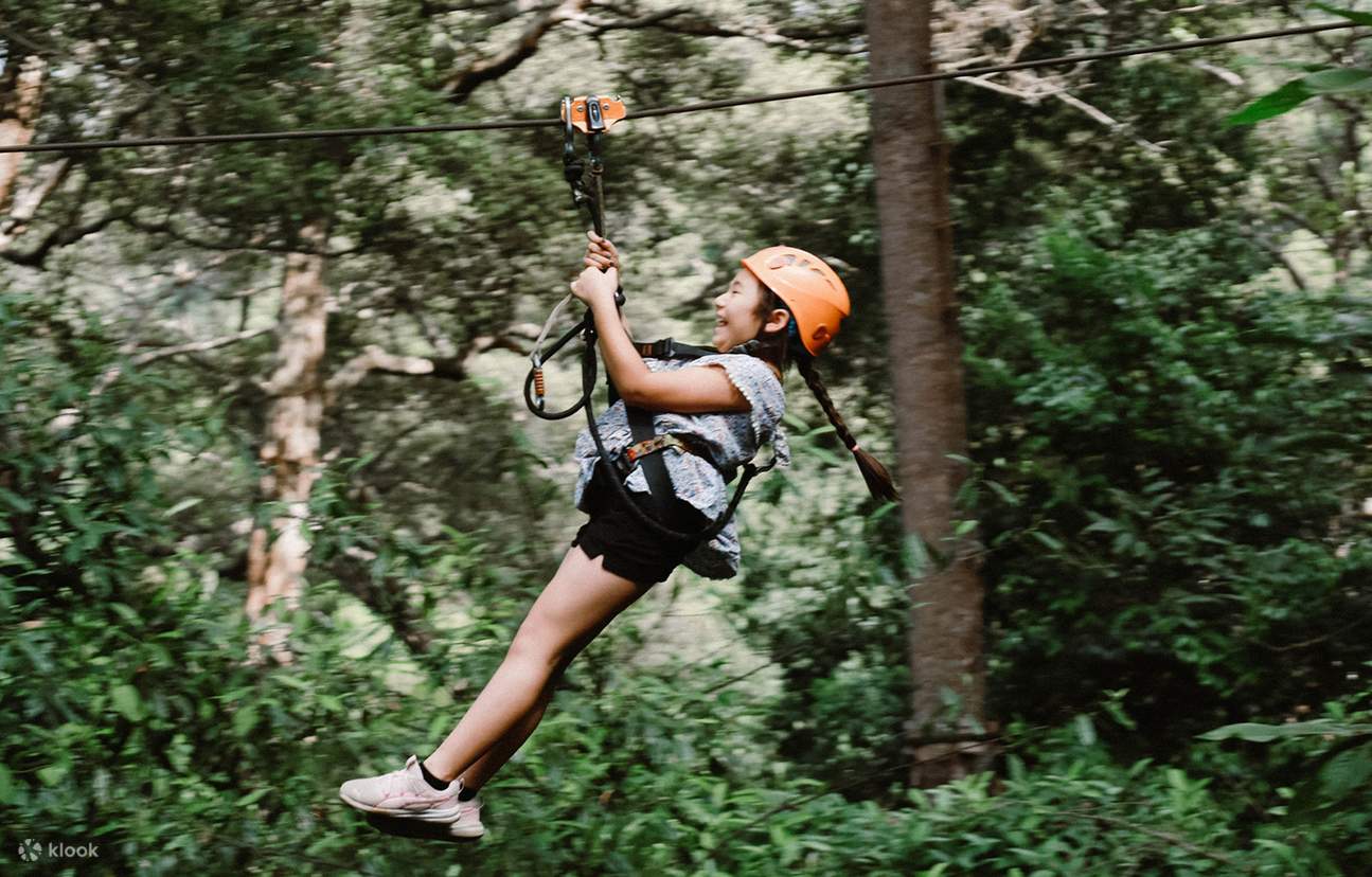 Chiang Mai: Petualangan Zipline Flying Tiger - Klook