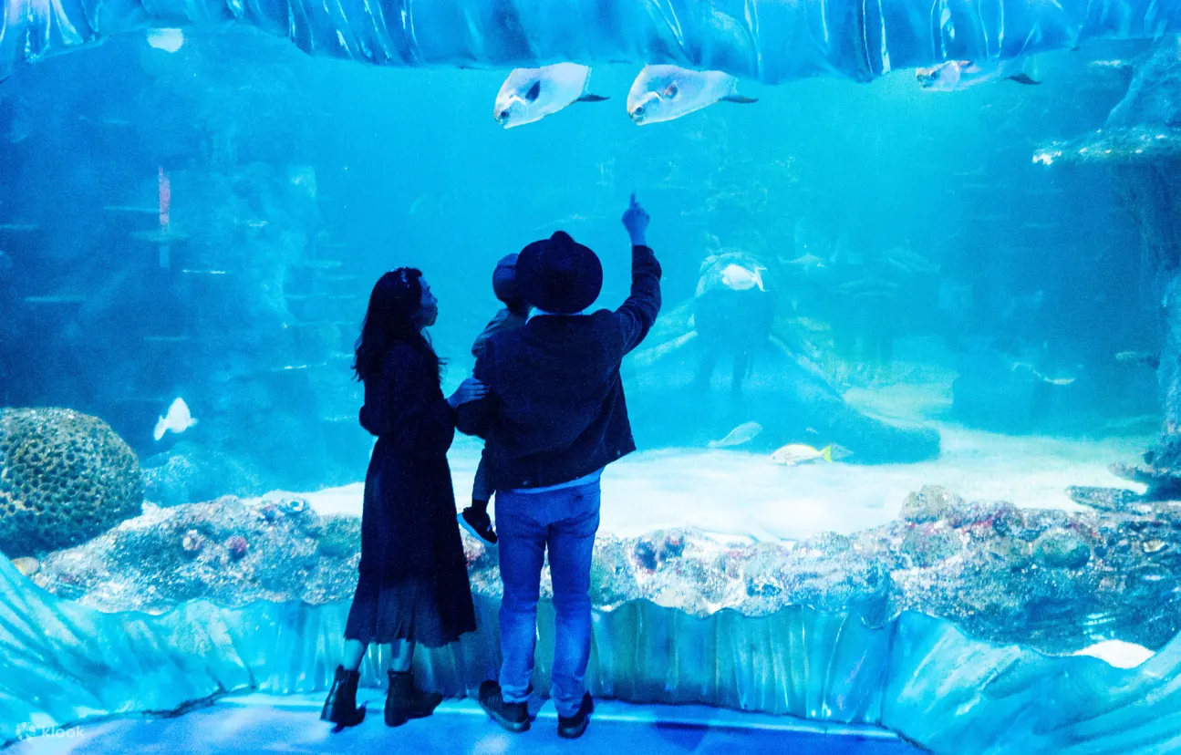 海洋生物水族馆（SEA LIFE）