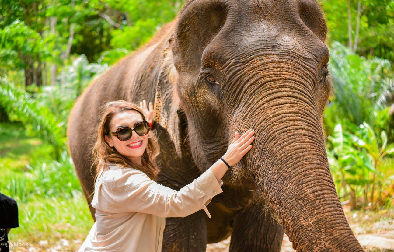 Phuket: Pantai dengan Gajah oleh Lily elephant camp