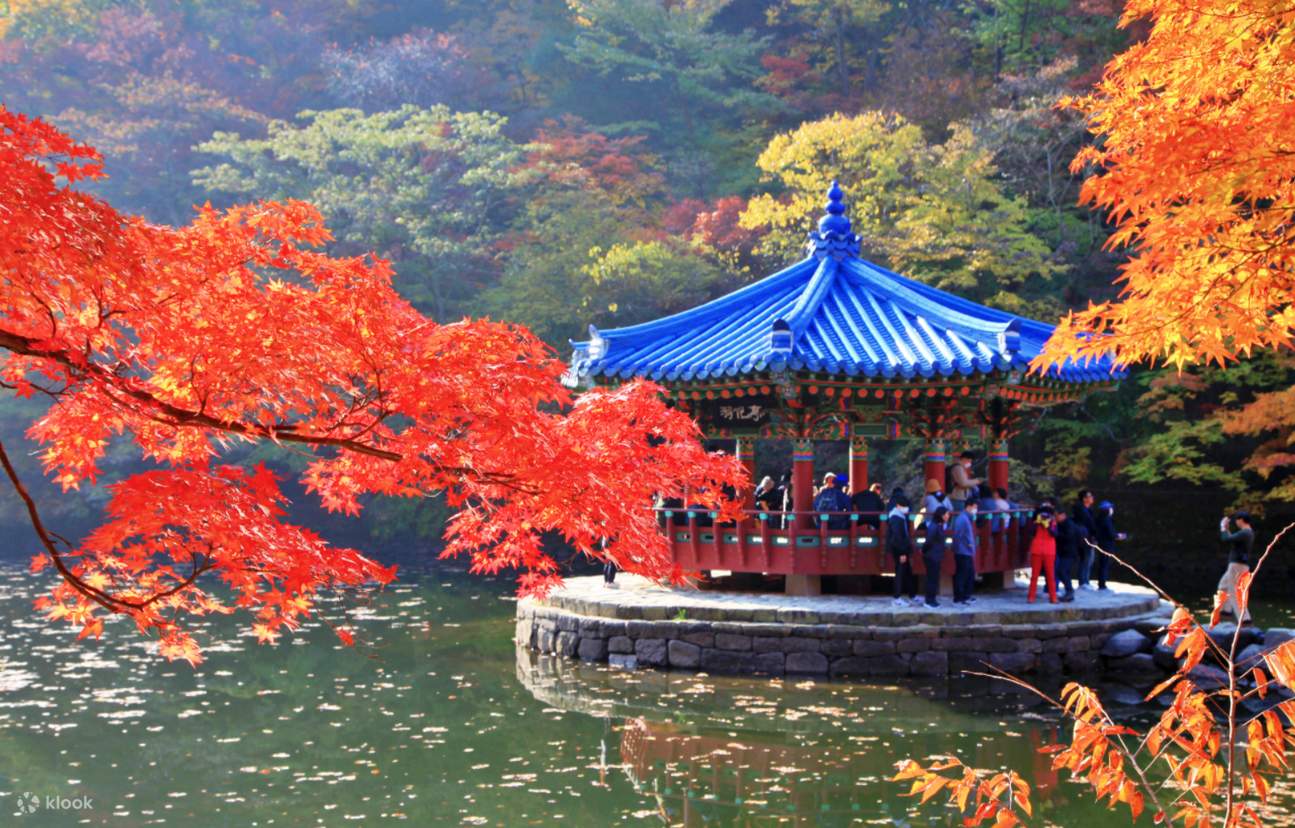 Autumn Foliage Day Trip to Naejangsan National Park from Seoul, South ... Autumn Foliage Day Trip to Naejangsan National Park from Seoul, South ...