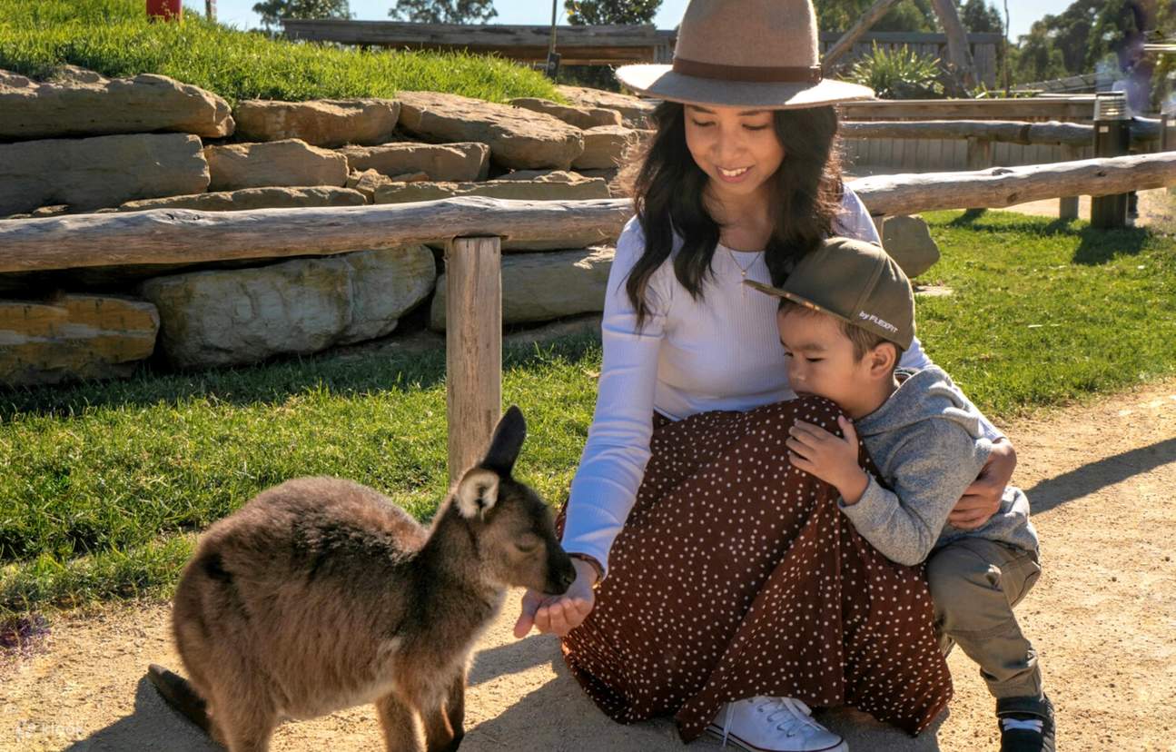 animali dello zoo di Sydney