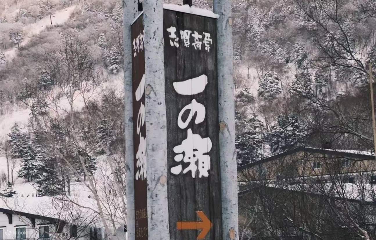 Privater Skikurs im Shiga Kogen Skigebiet