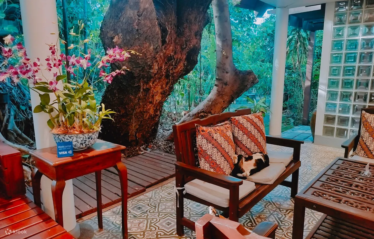 普吉岛 Raintree Spa 体验
