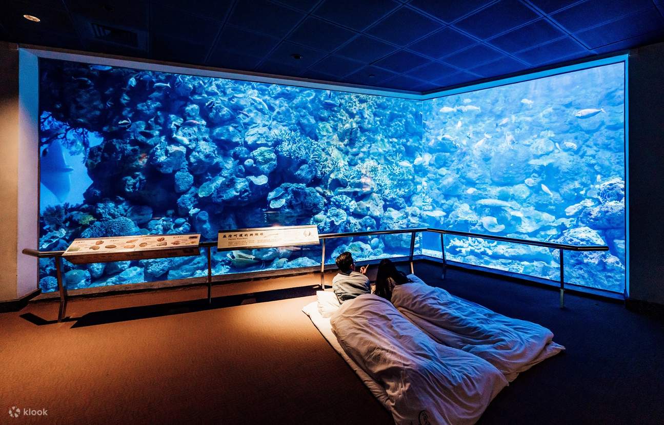 National Museum of Marine Biology and Aquarium Sleepover Experience in