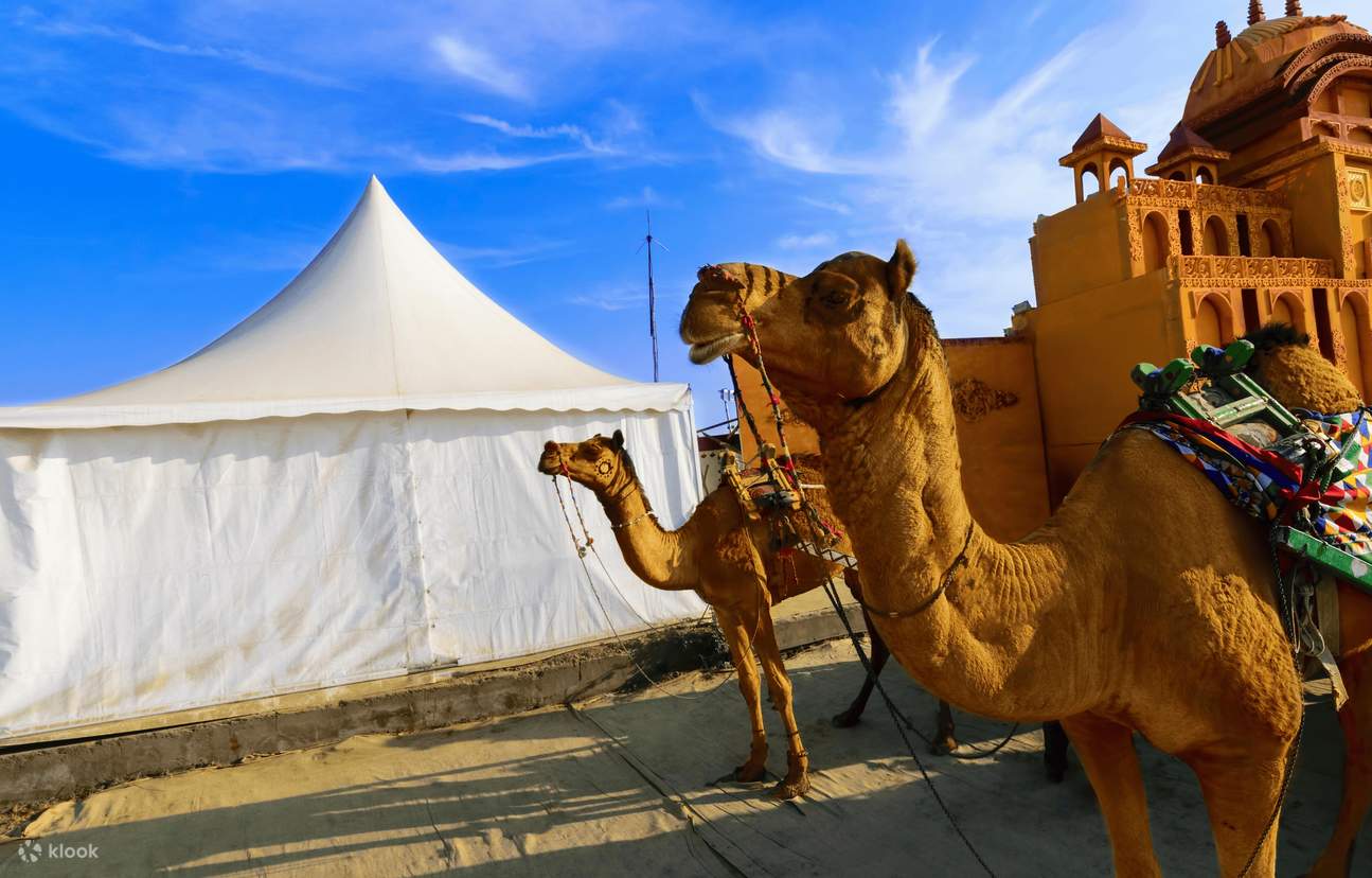 Kachchh Ran From Bhuj: 2-Day Rann of Kutch & White Rann Tour with Tent Stay - Klook ...