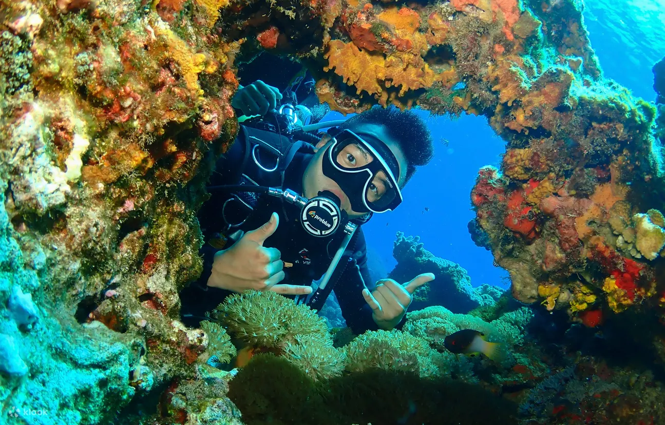 綠島潛水