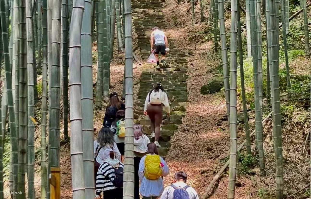 Jalan kaki santai memetik teh di perkebunan teh, jelajahi misteri waduk kaya oksigen