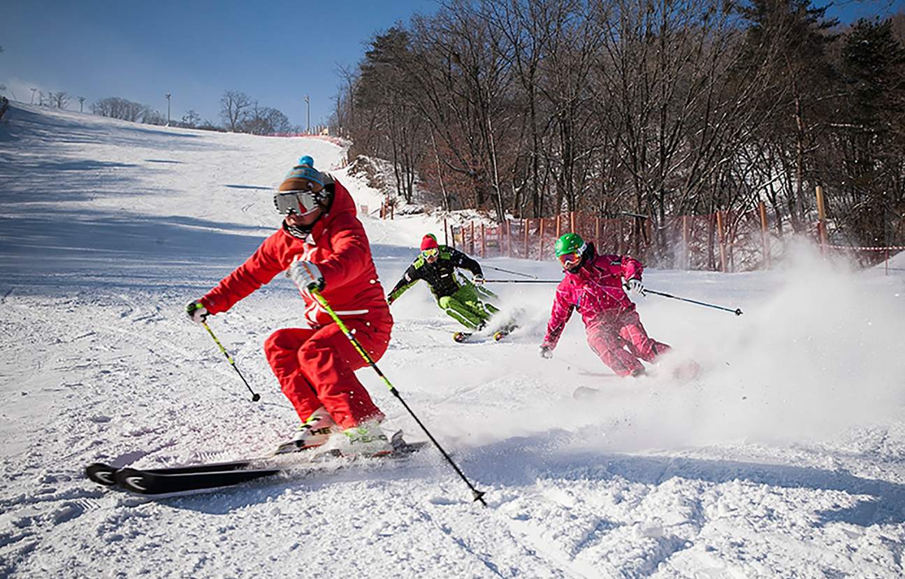 Phoenix Pyeongchang Ski and Snowboard Experience Klook US