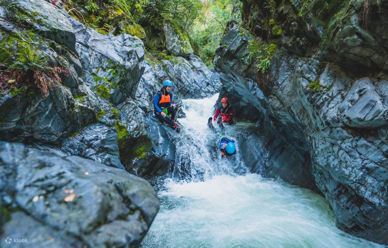 เพื่อนร่วมเดินทาง