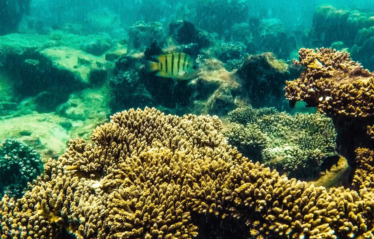 snorkeling a Phu Quoc