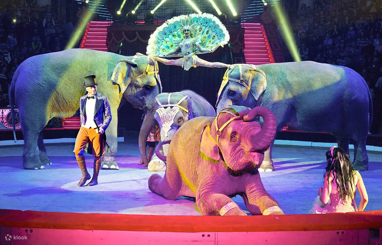 The Moscow Big State Circus Ticket in Moscow, Russia - Klook