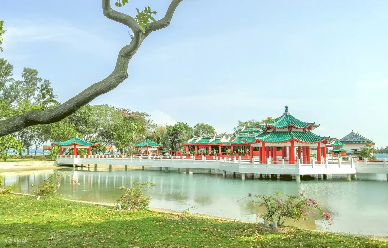 龟须岛