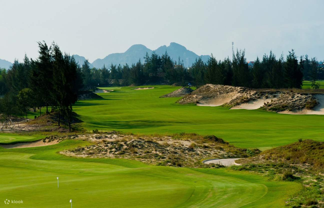 campo verde y montaña