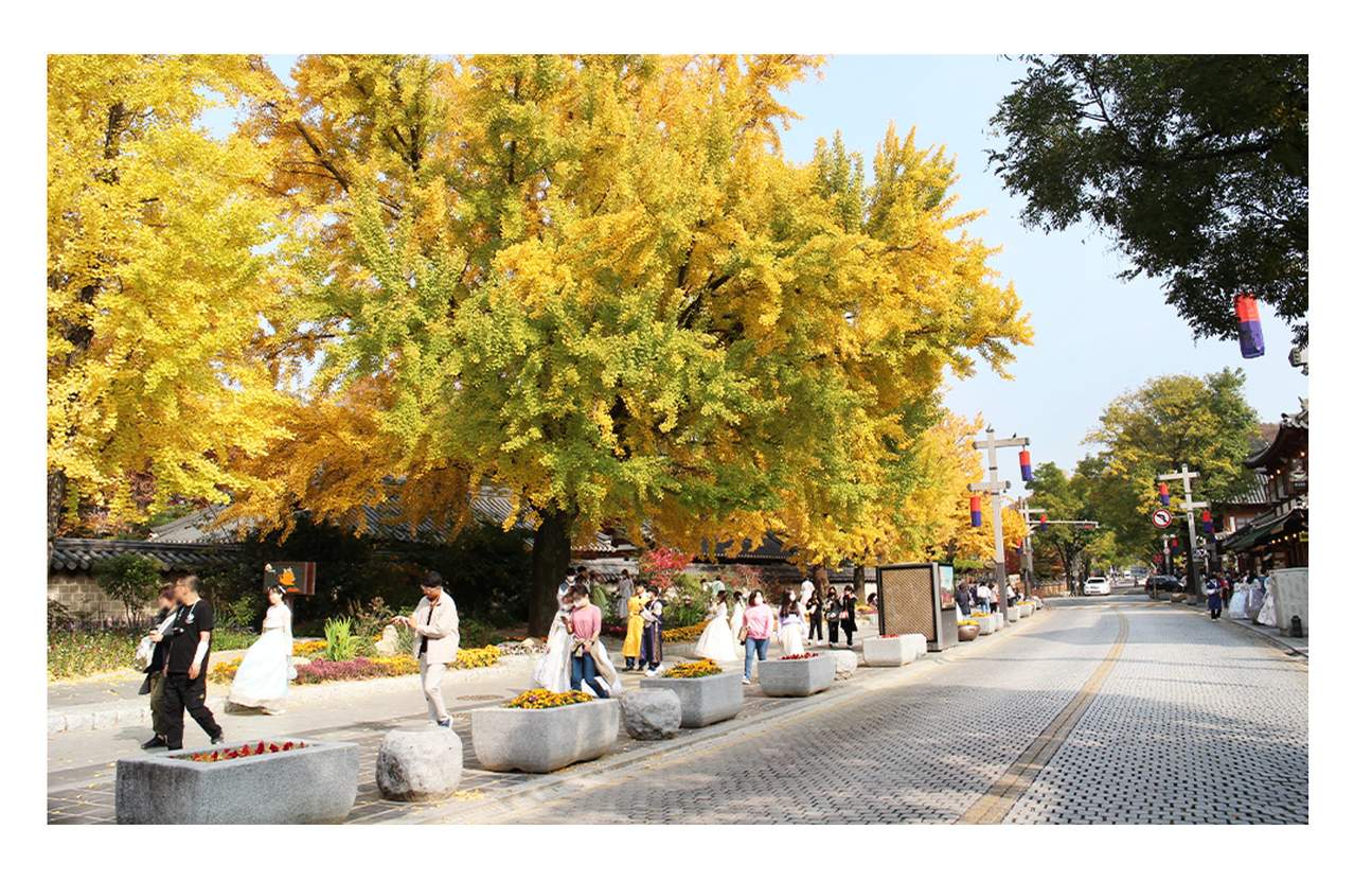 Alquiler de coche con conductor en Seúl a Jeonju (Itinerario personalizado)