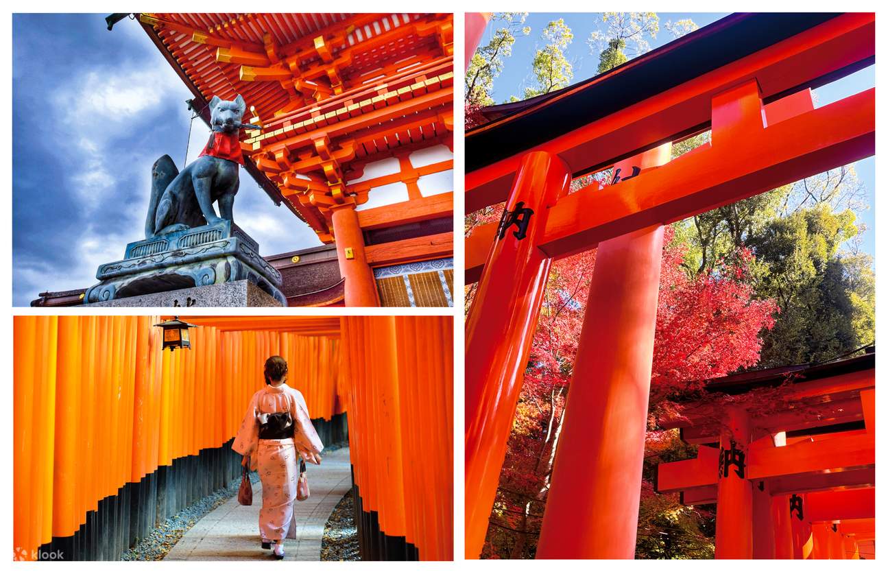 岚山竹林・清水寺・金阁寺・伏见稻荷大社｜京都一日游（大阪出发） - Klook客路