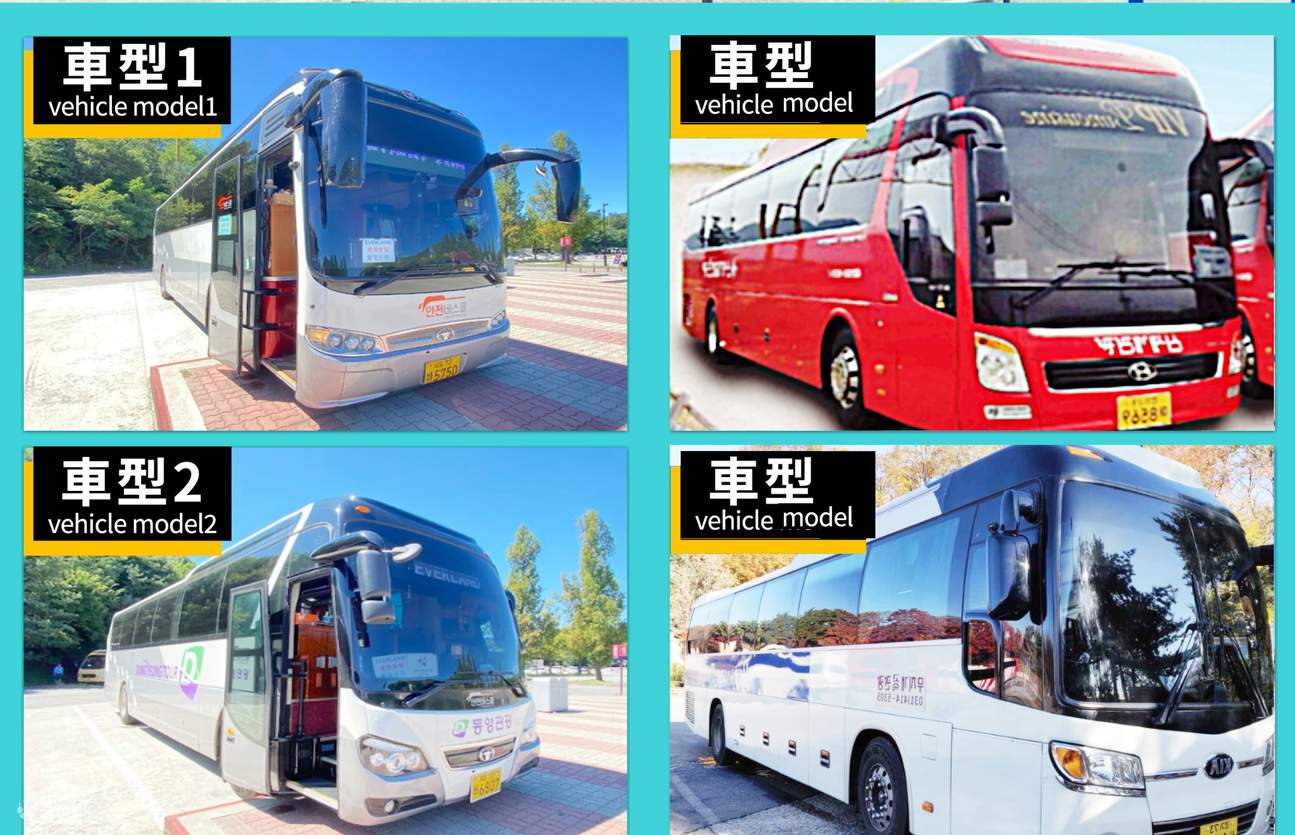 Round Trip Shuttle Bus Transfers to Everland from Seoul by JINA International Travel