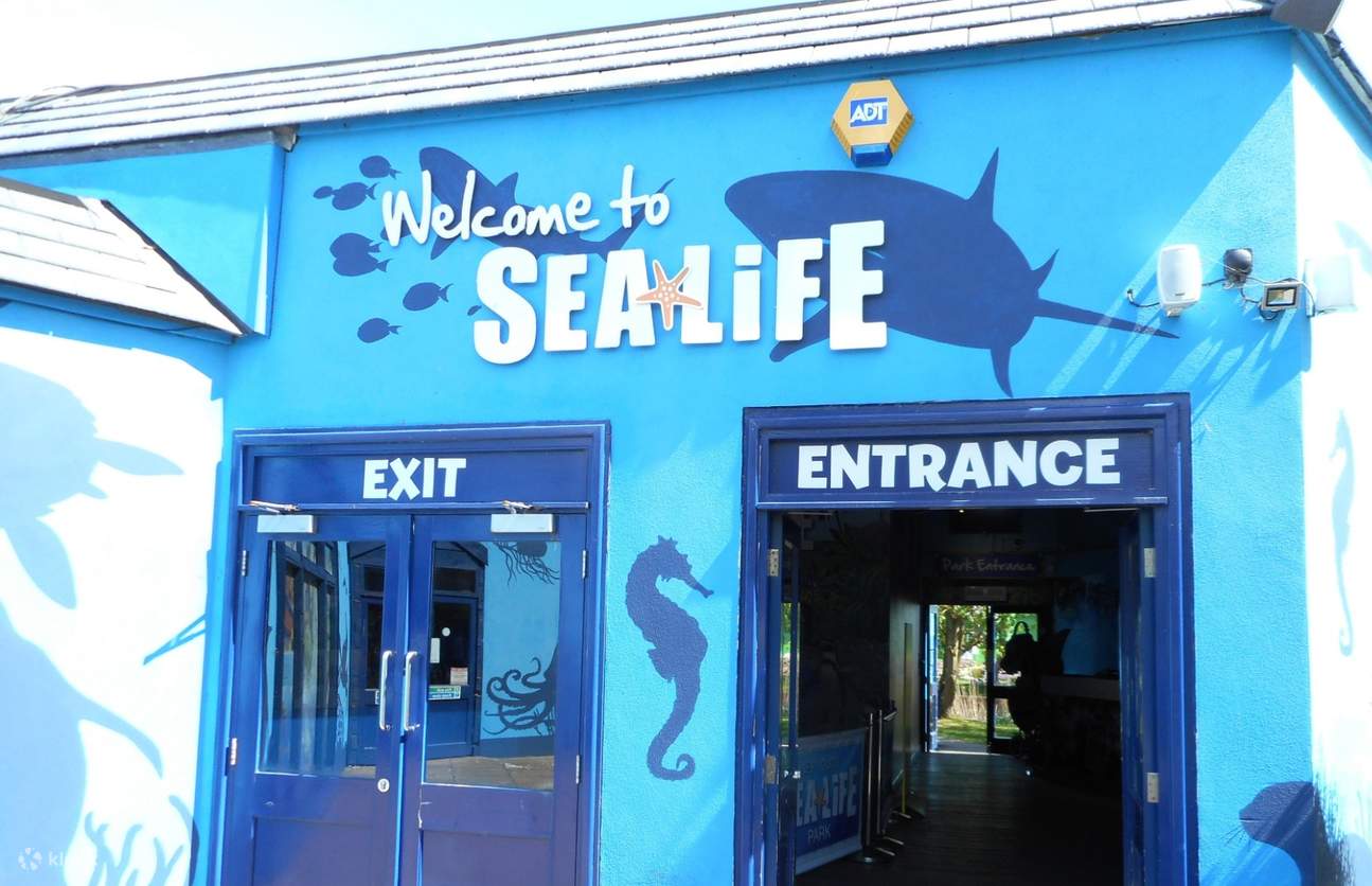 Get Discounted Tickets For The SEA LIFE Adventure Park In Weymouth get-discounted-tickets-for-the-sea-life-adventure-park-in-weymouth