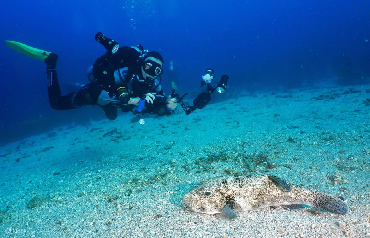 PADI Advanced Open Water Diver [eLearning]