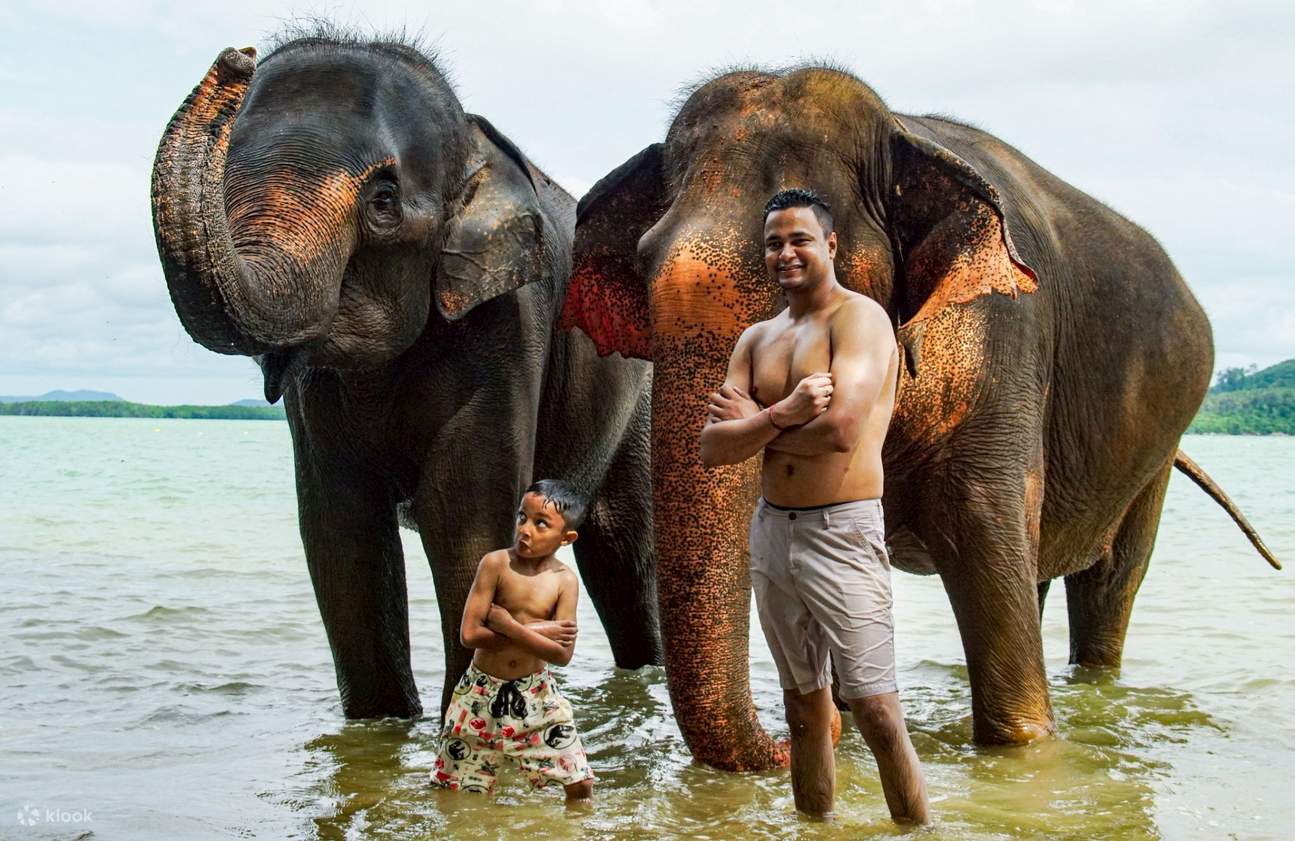 Trải nghiệm với voi và bãi biển tại Phuket Siray Elephant Care Camp