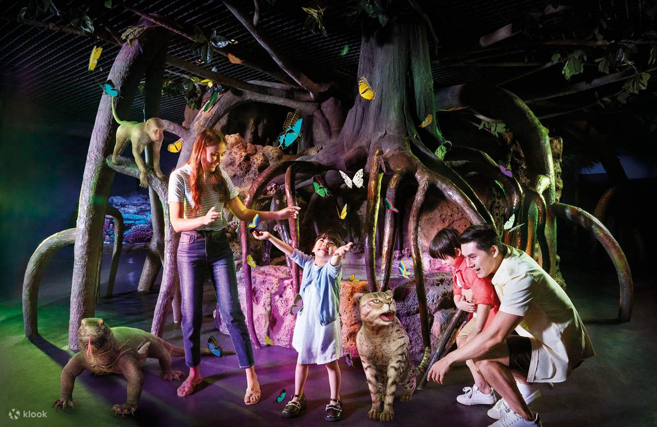 Foresta di mangrovie