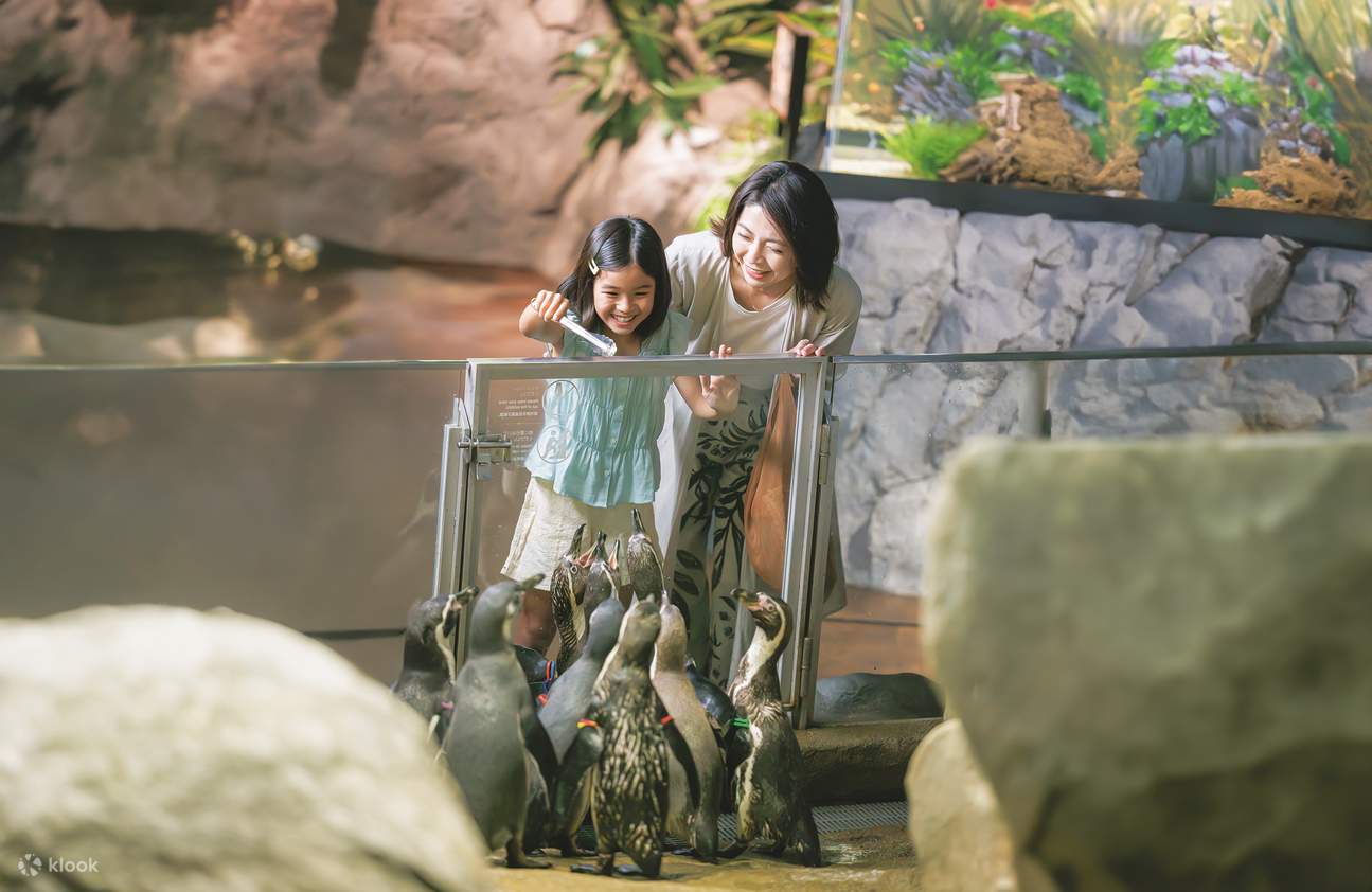 Entrada al Acuario DMM Kariyushi en Okinawa