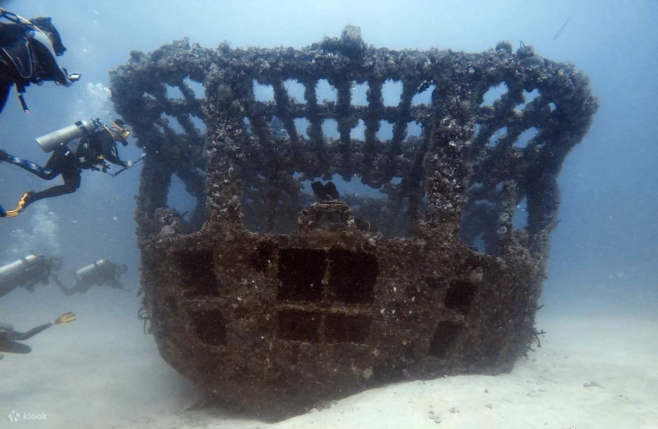 Partecipa al nostro corso Nitrox a Puerto Morelos e approfondisci la scienza dell'immersione con aria arricchita.