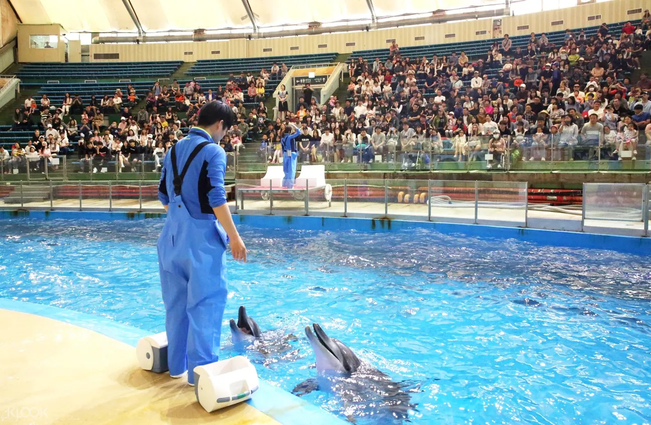 首爾樂園& 首爾動物園優惠套票
