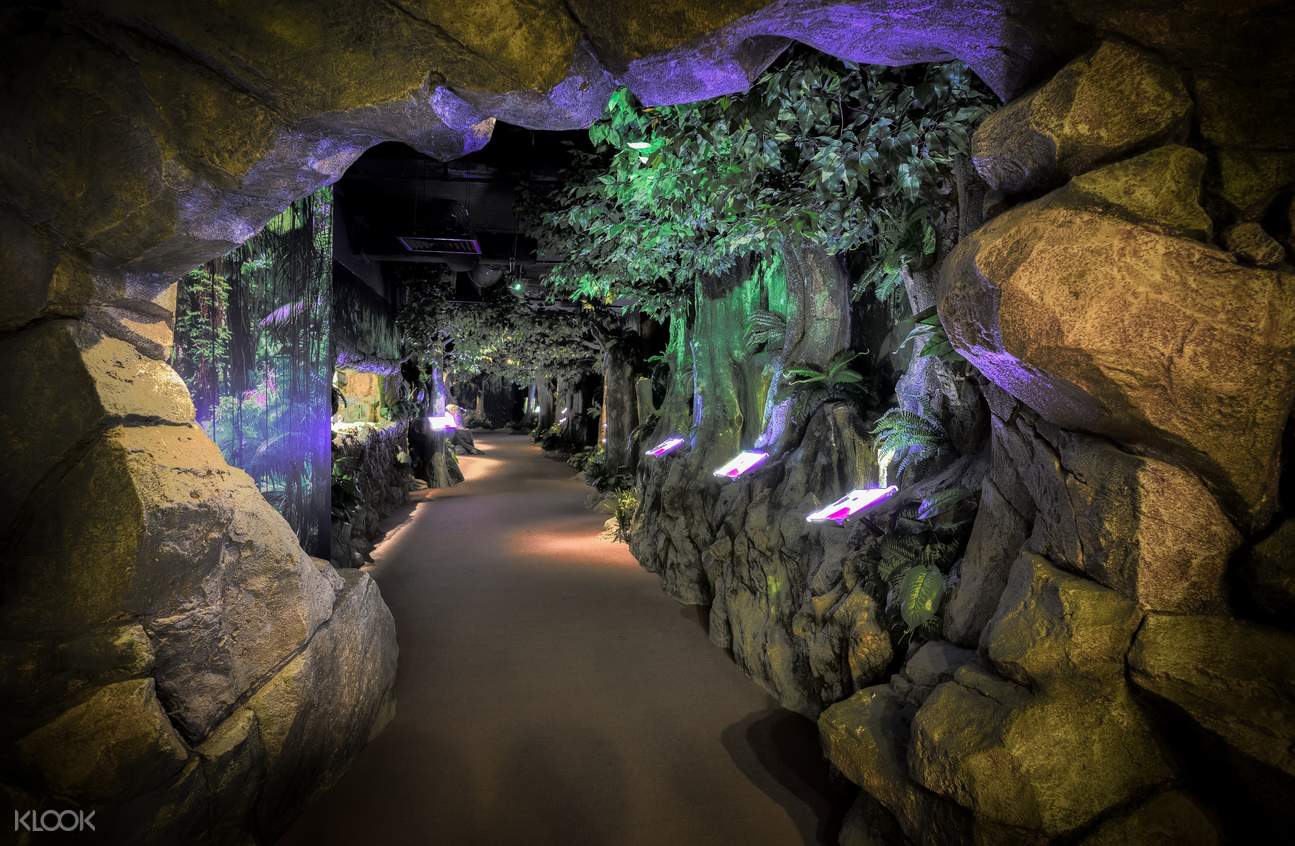 Boutique Aquarium At The Top Penang Klook Malaysia