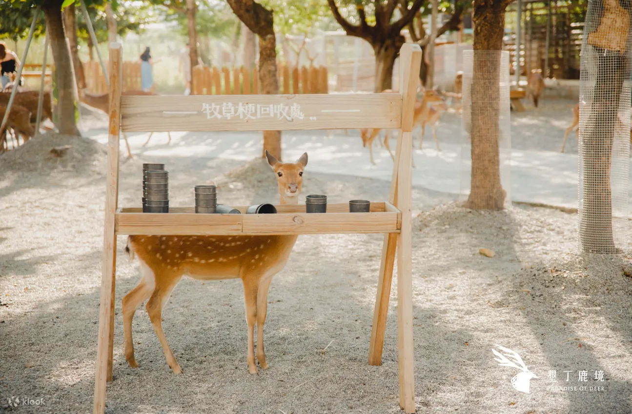 Pingtung Lujing Sika Deer Ecological Park