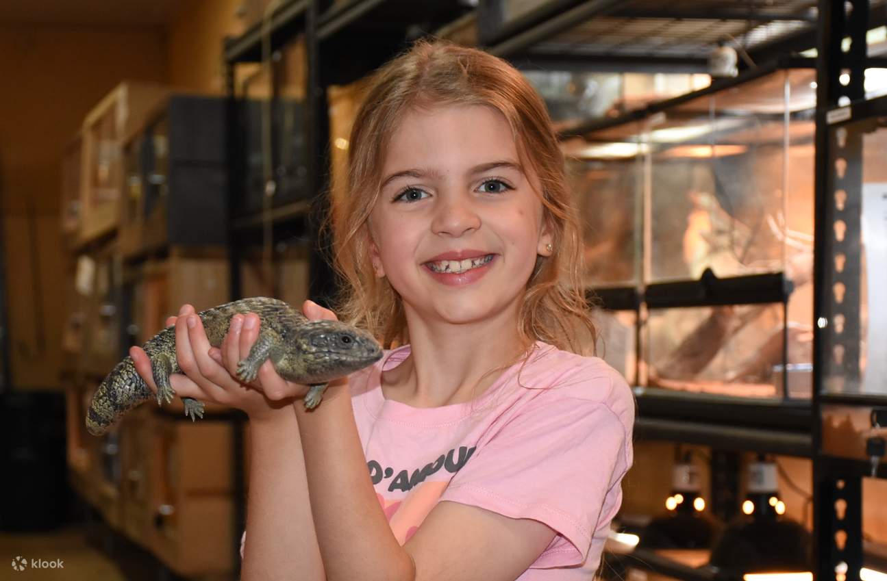 ร่วมทัวร์เบื้องหลังสุดพิเศษของอาคารสัตว์เลื้อยคลาน (Reptile Pavilion) กับเจ้าหน้าที่ดูแลมากประสบการณ์ ค้นพบระบบนิเวศที่เป็นเอกลักษณ์ของสัตว์เลื้อยคลาน และเรียนรู้เรื่องราวทั้งหมดเกี่ยวกับสัตว์เลือดเย็นที่อาศัยอยู่ที่นี่