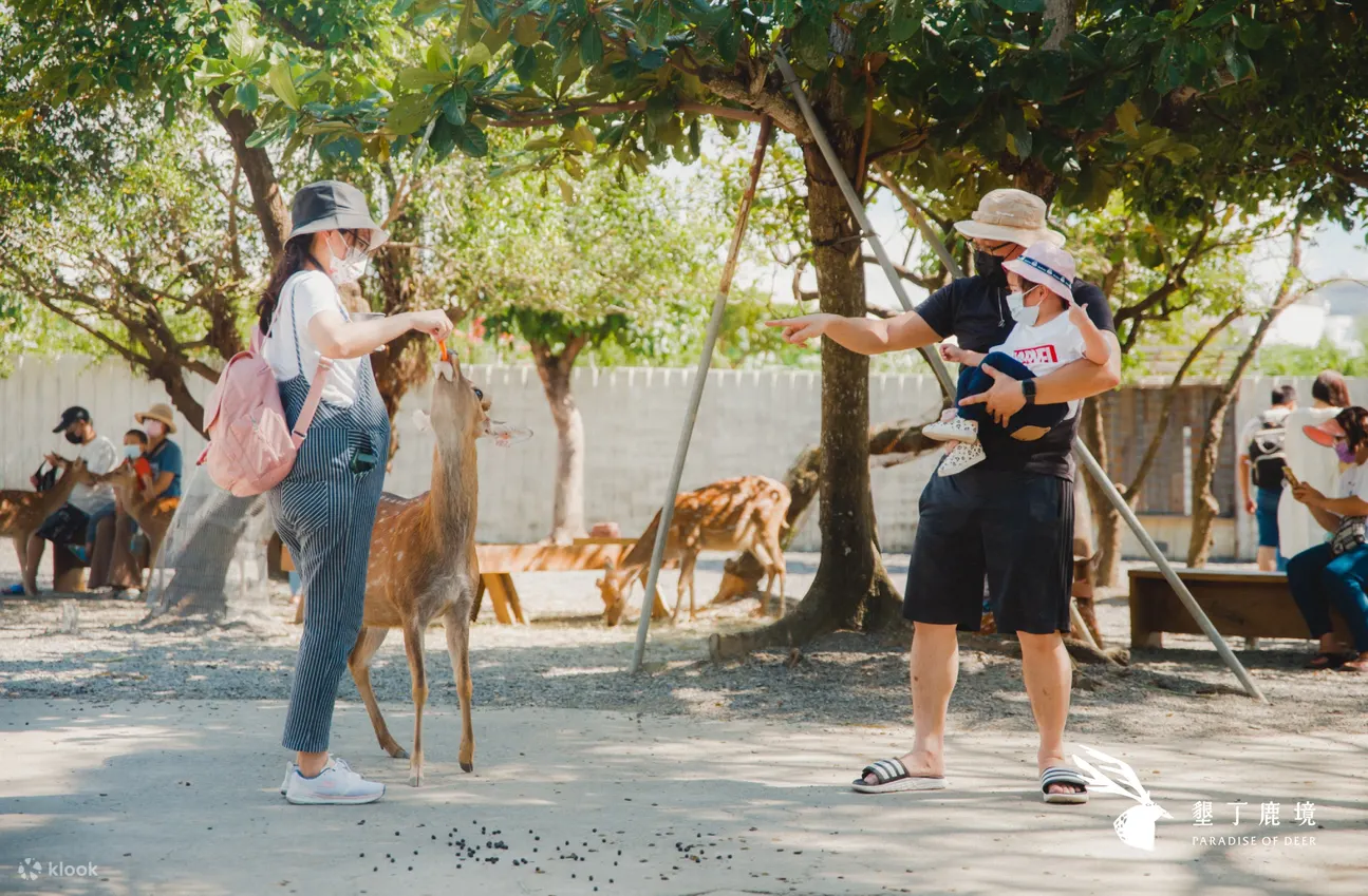 Pingtung Lujing Sika Deer Ecological Park