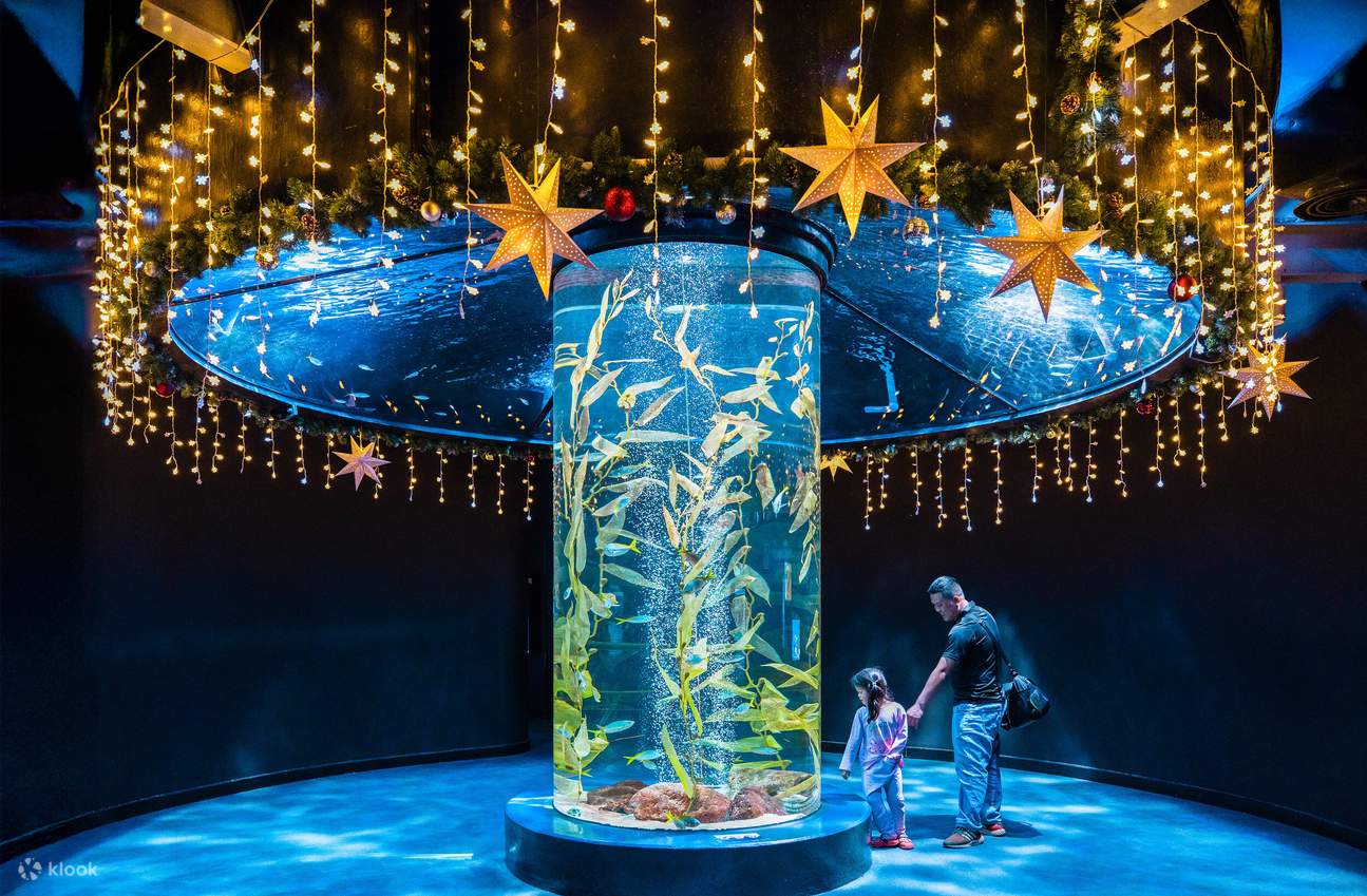 Biglietto per Lotte World Aquarium Hanoi