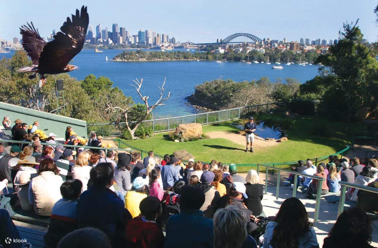 Take in views over Sydney Harbour as you enjoy the wild and free-flight bird presentation
