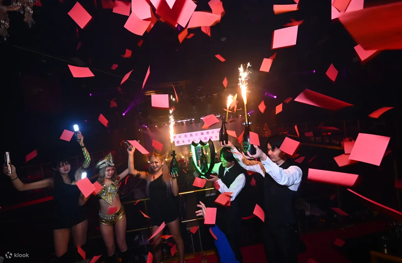 皮卡迪利高级晚餐秀和夜总会 VIP