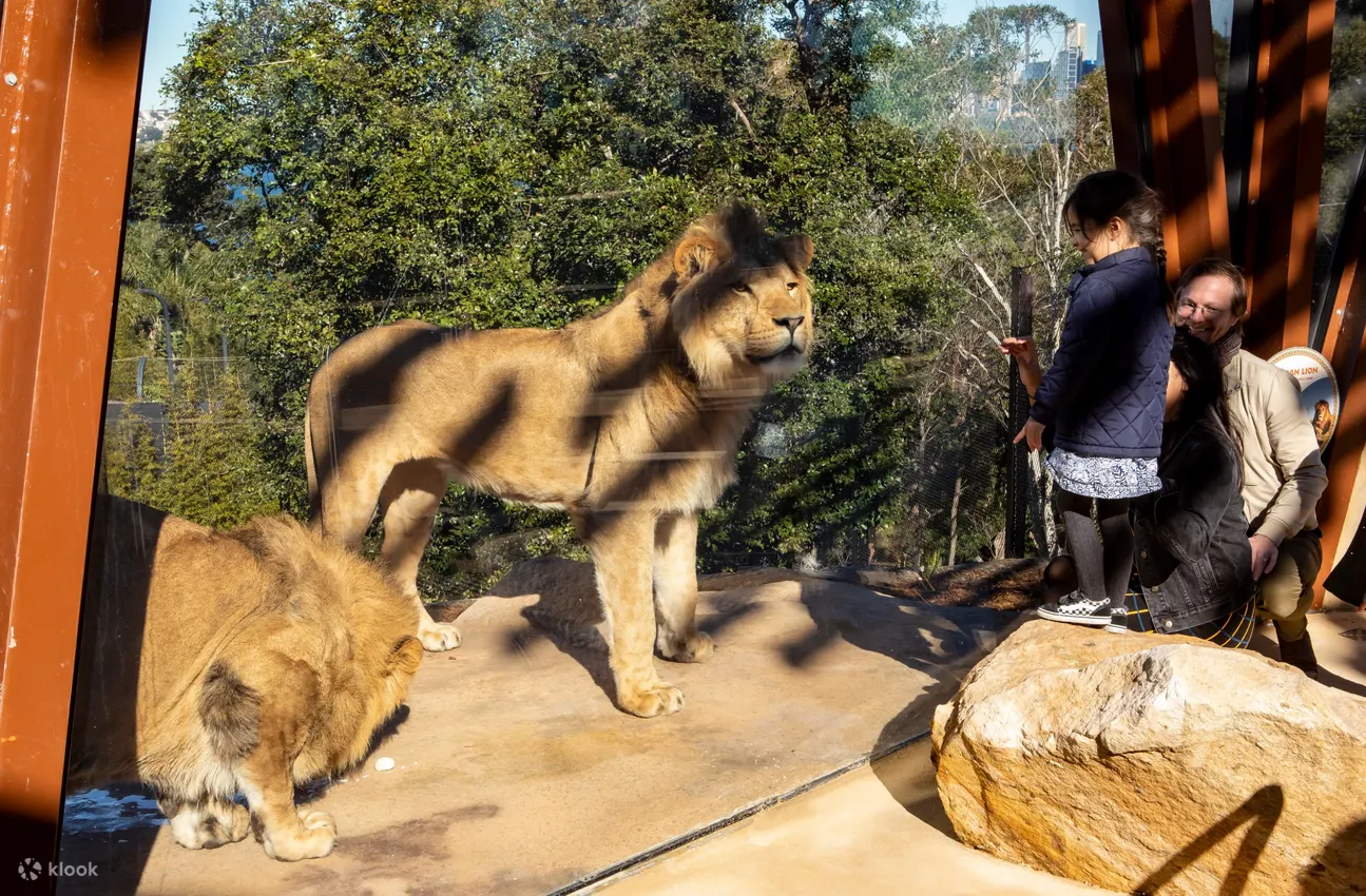 塔龍加動物園照片 - 非洲莽原區