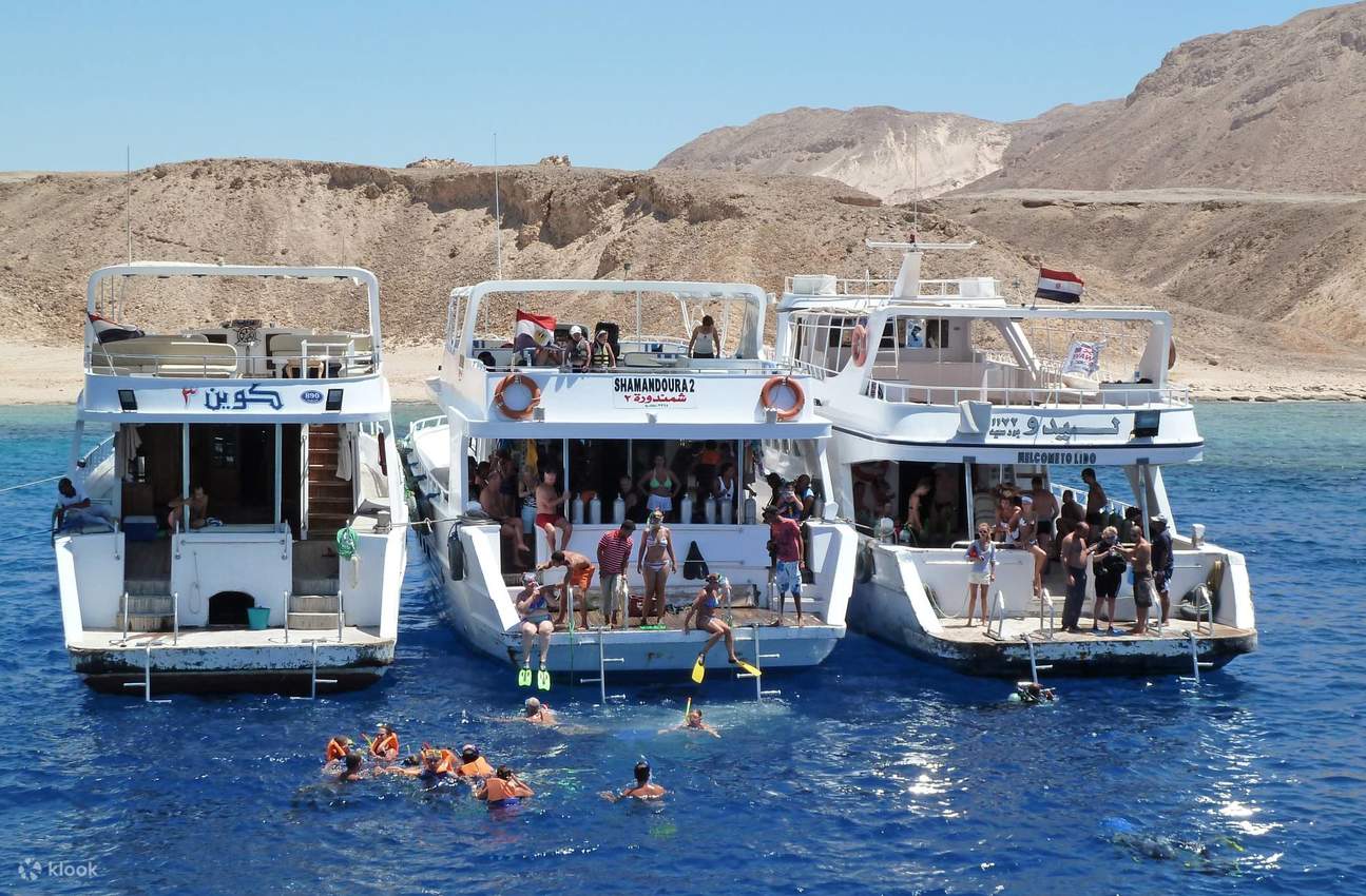 Hurghada Dolphin Watching Boat Tour Snorkeling, Lunch & More Klook