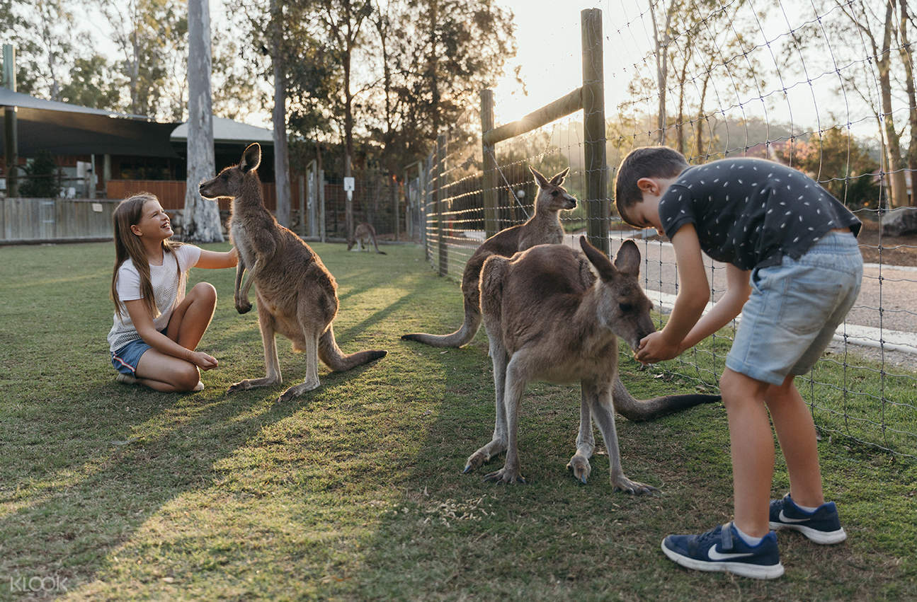 Paradise Country Farm Experience Gold Coast
