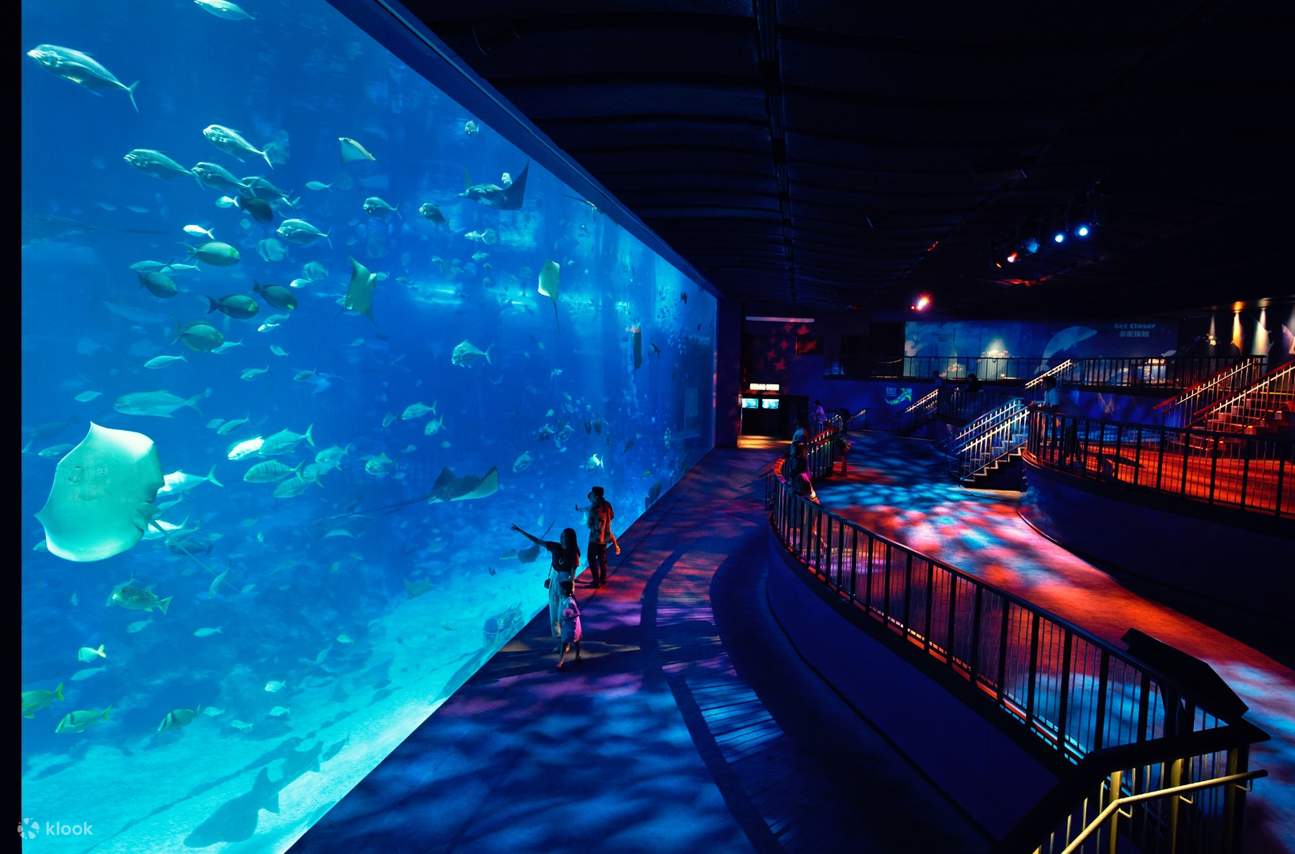 tourists looking at sea creatures in SEA Aquarium Singapore