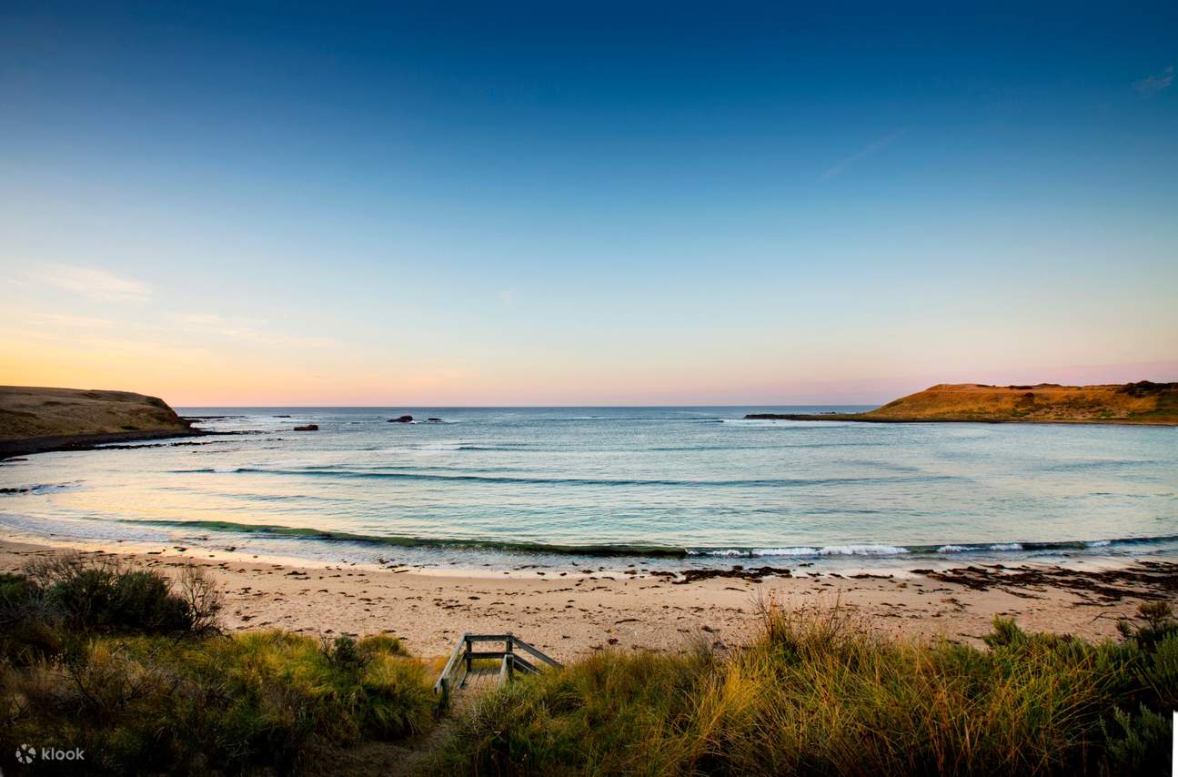 บริการรถเช่าส่วนตัวพร้อมพนักงานขับรถเที่ยวเกาะฟิลลิป (Phillip Island ...