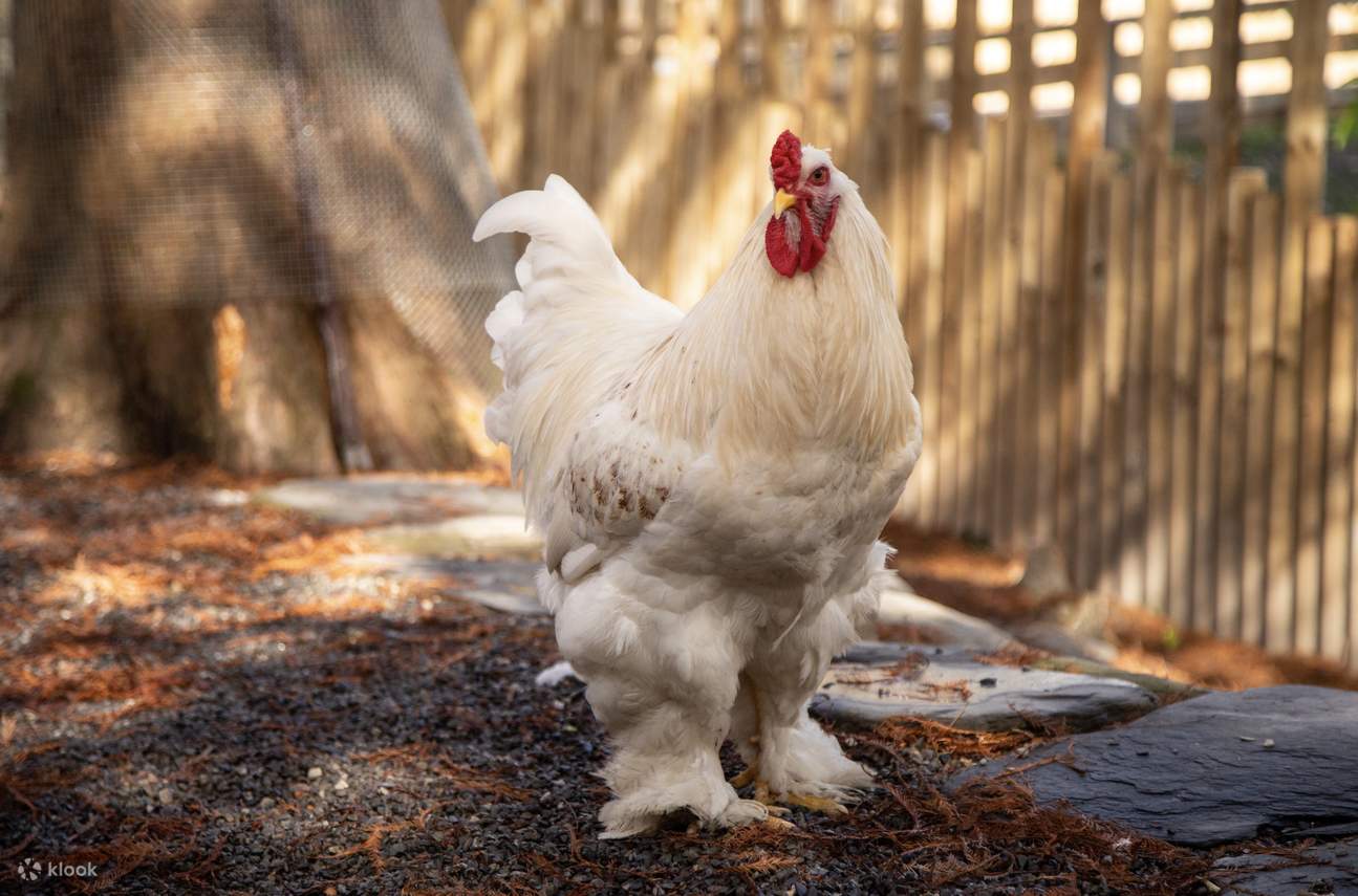 Yilan | Área del Zoológico Bosque Costero