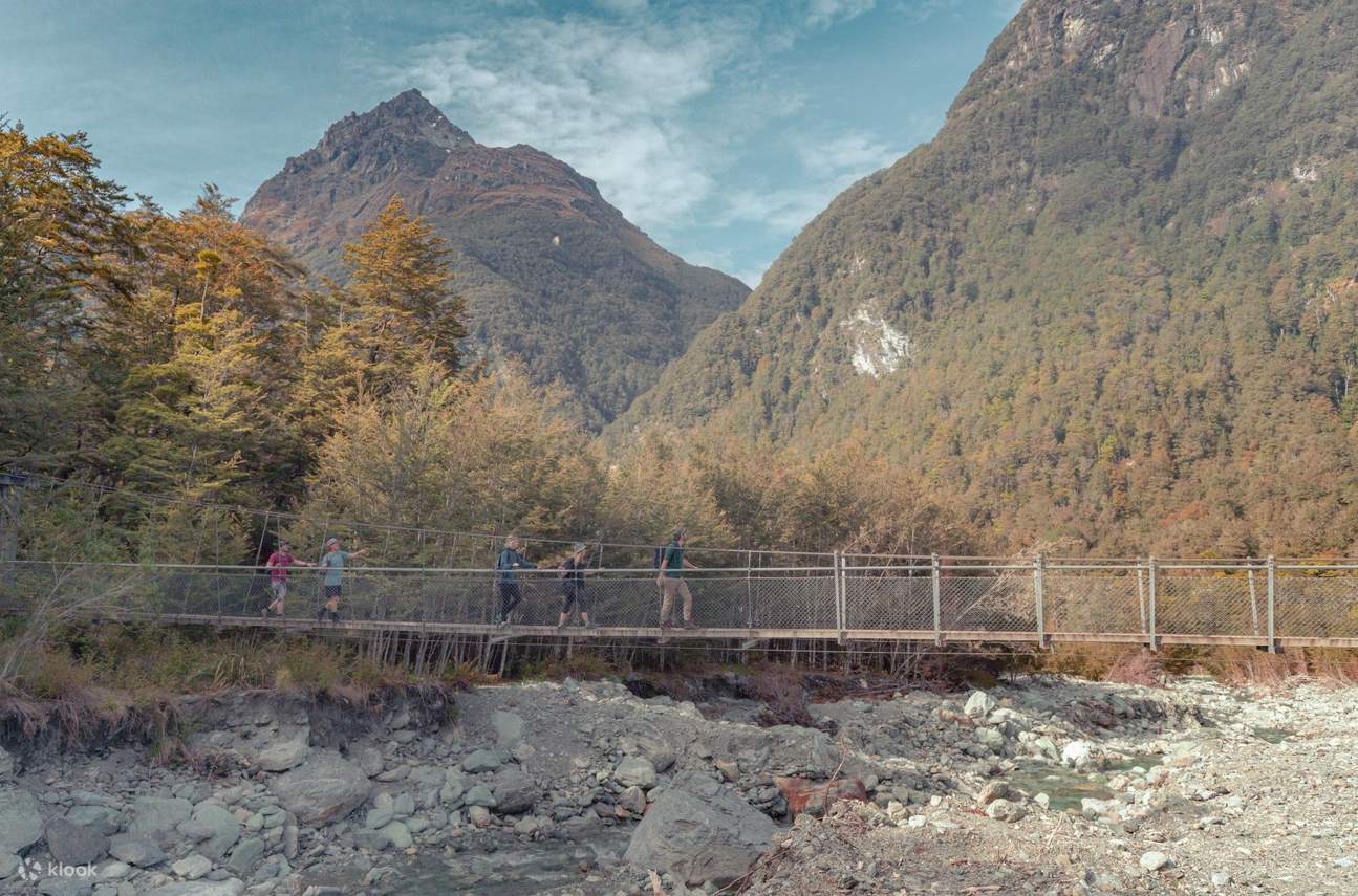 Milford track shop guided hike