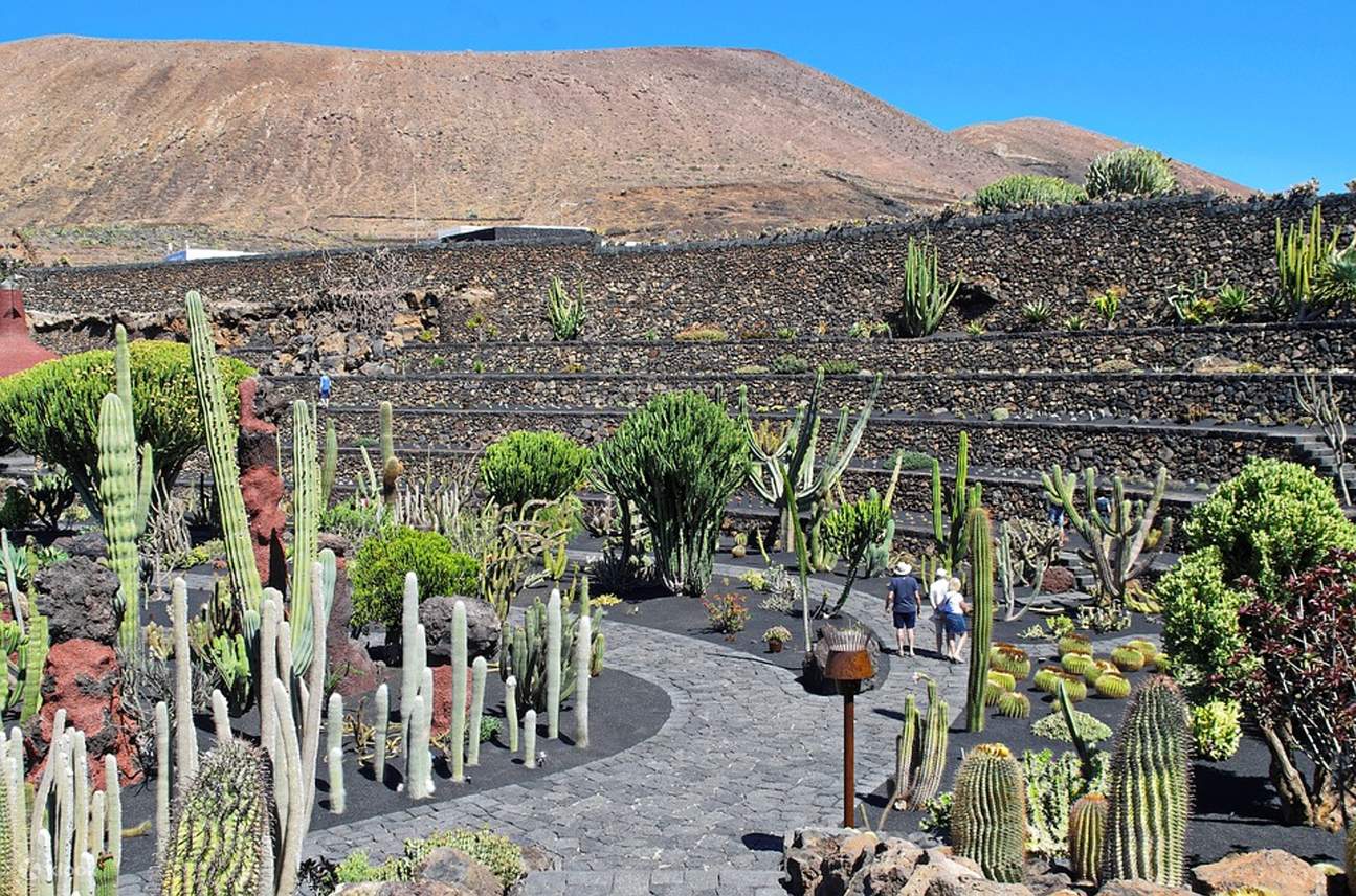 Jardin de Cactus Admission Ticket in Lanzarote - Klook Deutschland