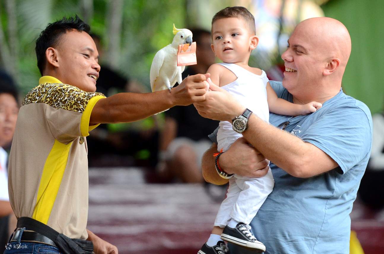 pappagalli di A'Famosa Safari Wonderland Melaka