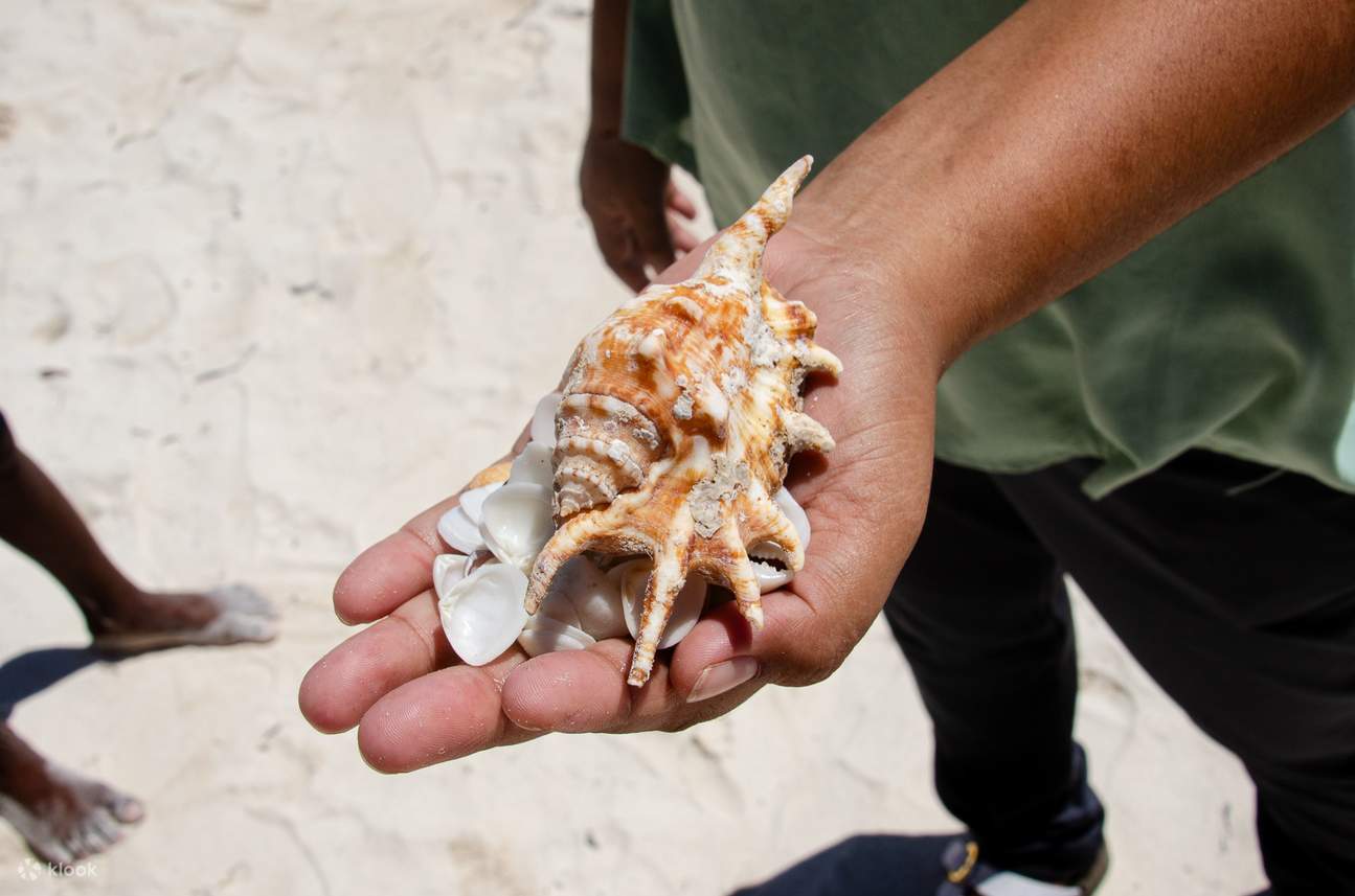 满足好奇心的智力活动