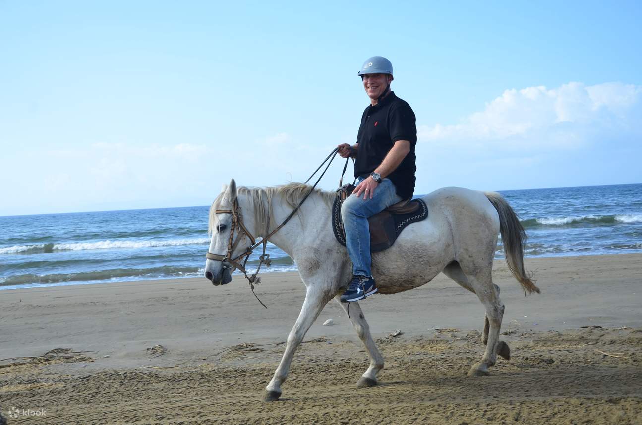 让马儿带您驰骋，奔向地平线的缤纷怀抱。