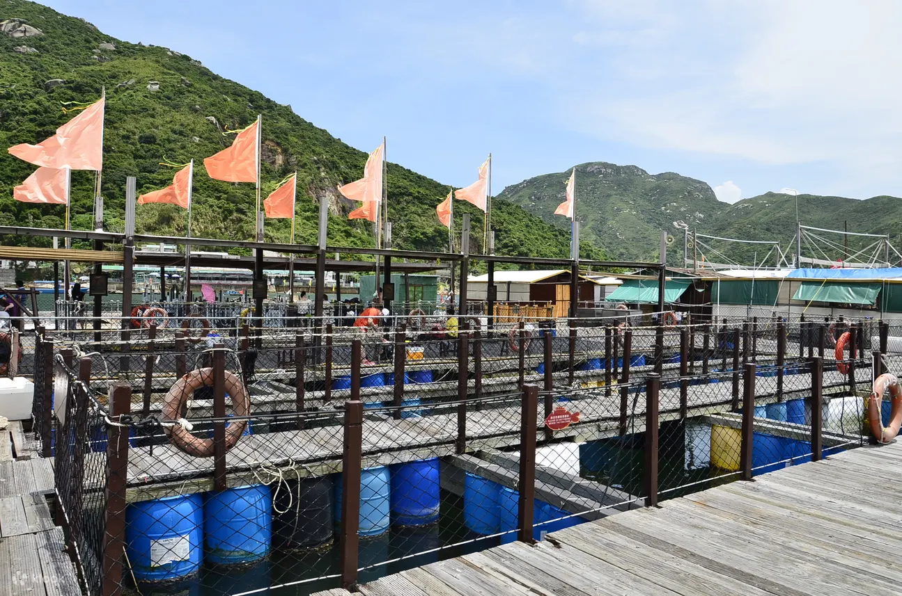 南丫岛渔场到餐桌盛宴半日游