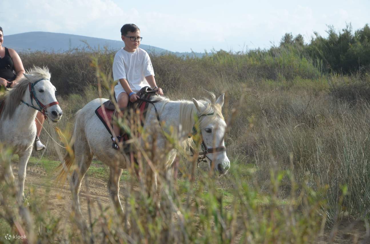 Enjoy gentle waves and soft sand under your horse’s hooves.