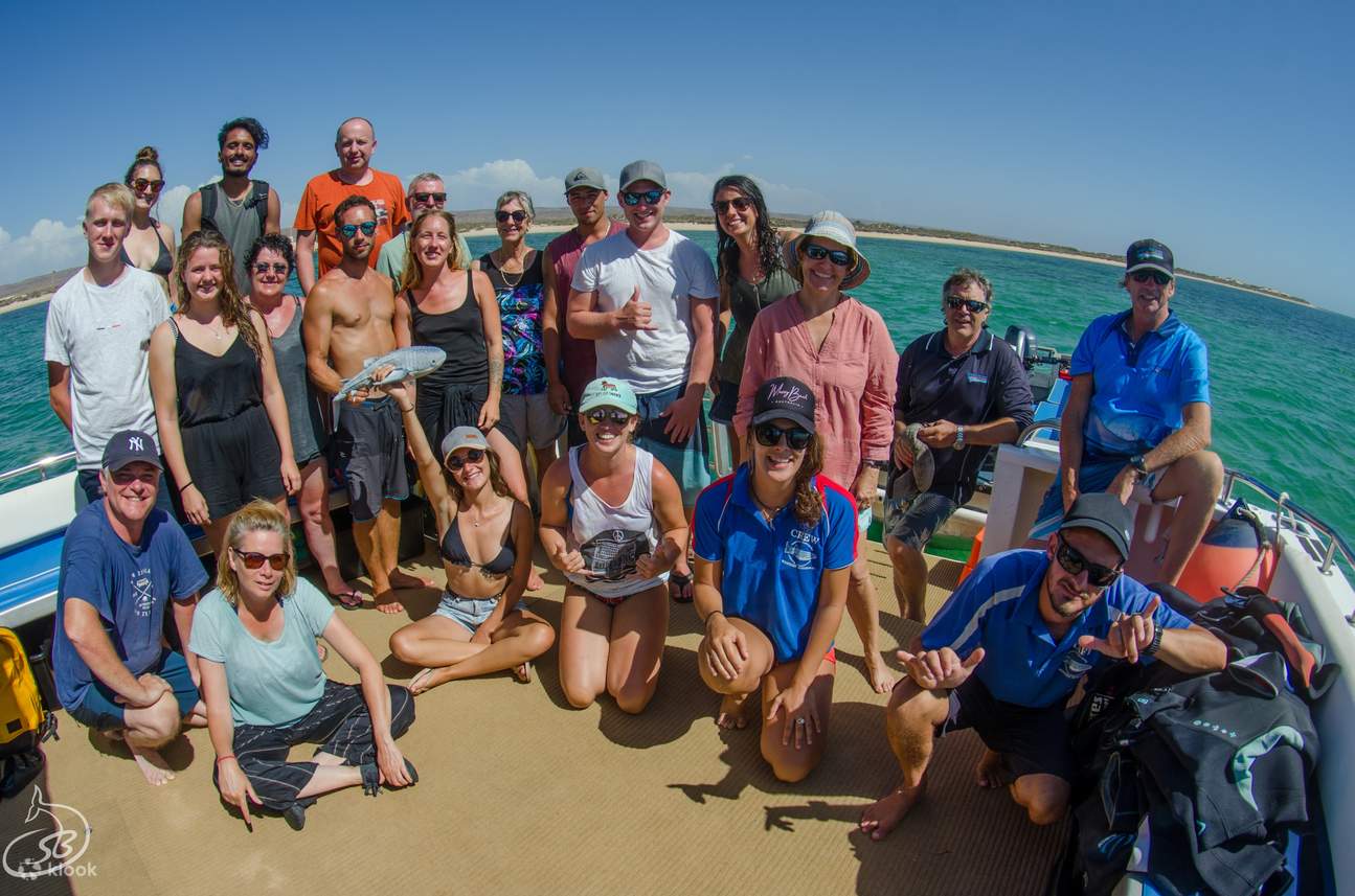 plongée sous-marine récif de Ningaloo