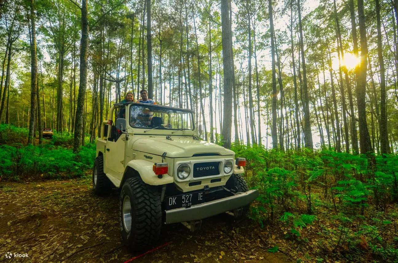 Tour xe jeep Bali