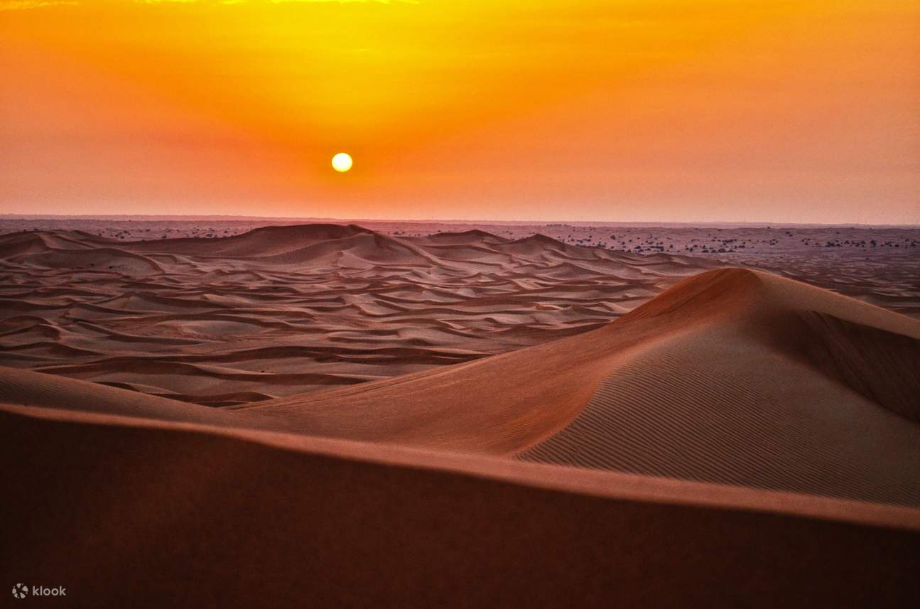 Doha: Combo Full Day Private Doha City & Desert Safari Tour. - Klook